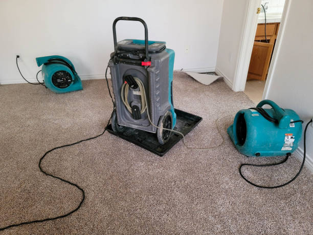 Best Emergency water damage restoration  in Tuba City, AZ