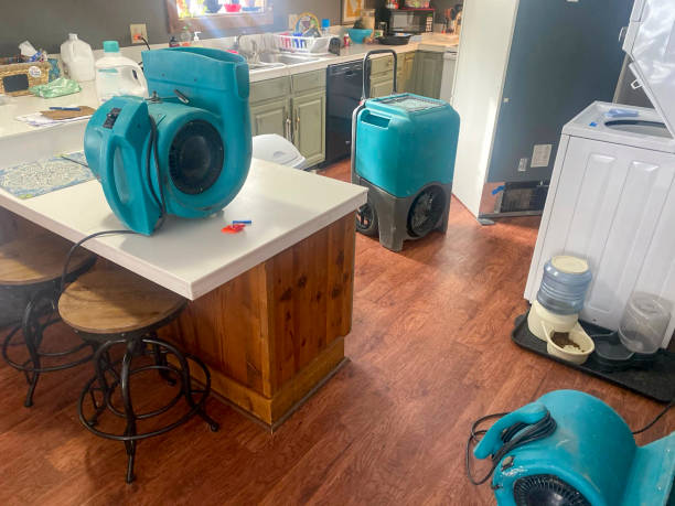 Best Water damage mitigation services  in Tuba City, AZ