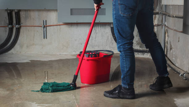 Best Flood damage cleanup  in Tuba City, AZ
