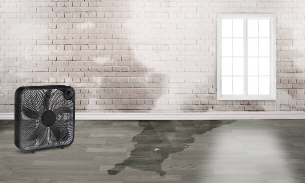 Best Commercial water damage restoration  in Tuba City, AZ
