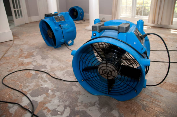 Best Residential water damage restoration  in Tuba City, AZ