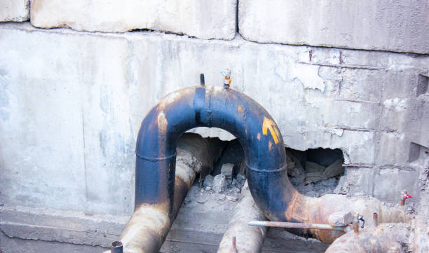 Best Flood damage cleanup  in Tuba City, AZ