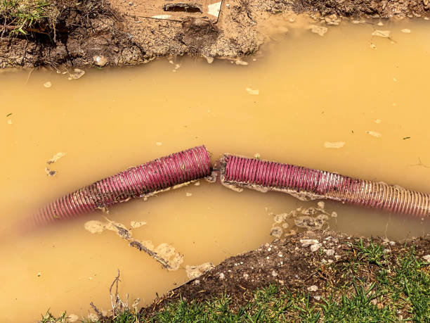 Best Basement water damage restoration  in Tuba City, AZ