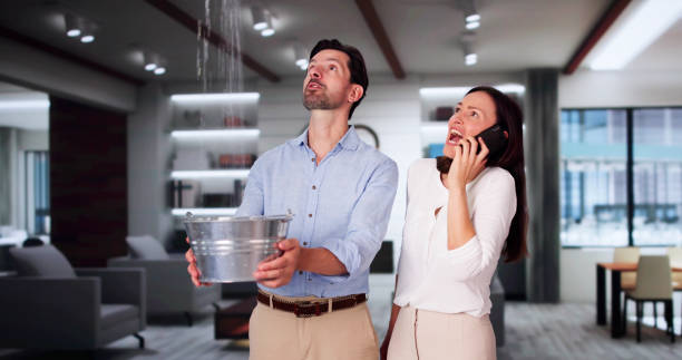 Best Water damage cleanup near me  in Tuba City, AZ
